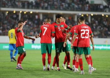 Les Lions de l'Atlas du Maroc