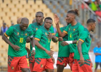 Les Lions Indomptables du Cameroun
