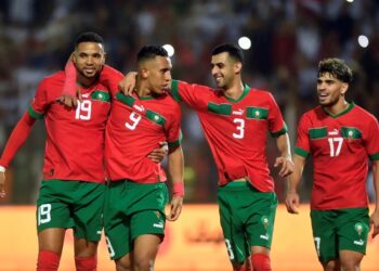 Les Lions de l'Atlas du Maroc