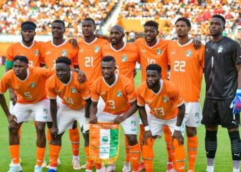 Les Elephants de la Côte d'Ivoire