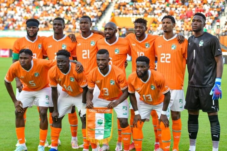 Les Elephants de la Côte d'Ivoire